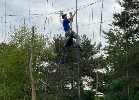 Photo_9(04-29-13-02-50)