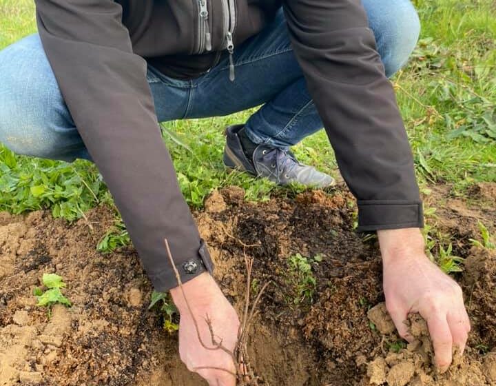 134626135_3972927112774935_2033121095514836786_n