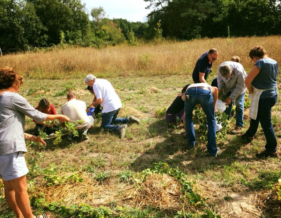 39742720_1993579610709705_5255936498716377088_n