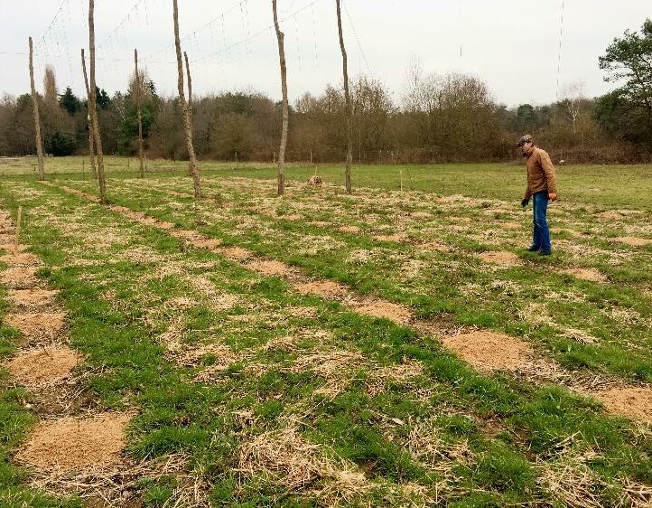 49581012_2189007747833556_4443144110093631488_n