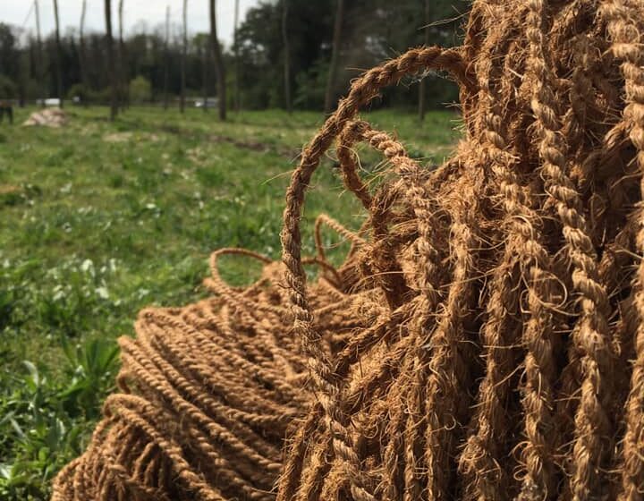 57417803_2347192212015108_7040254239200772096_n