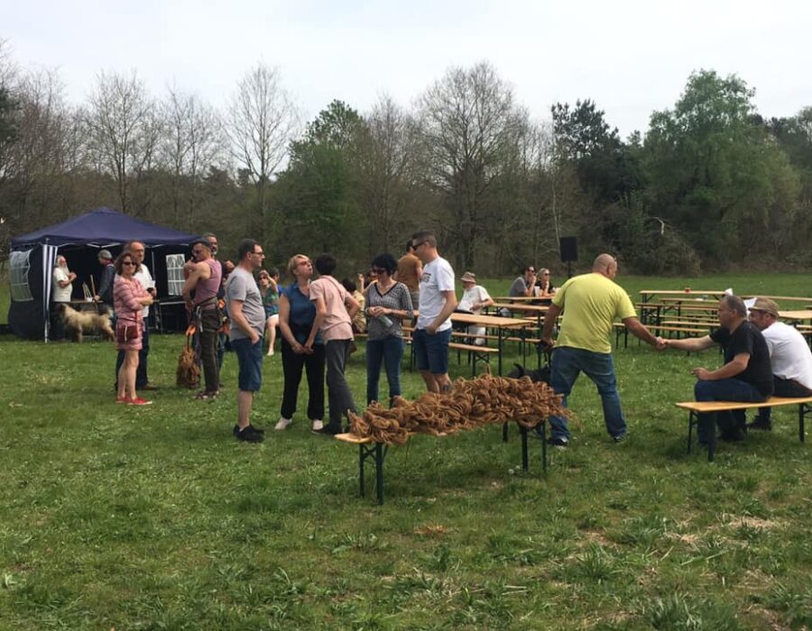 57568390_2347383941995935_7556118444681199616_n