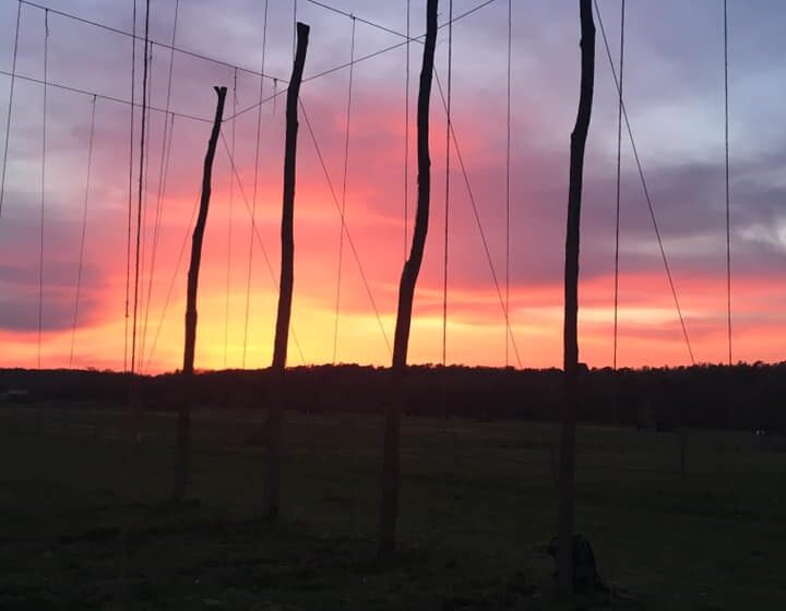 58442989_2350245621709767_3862903868174106624_n