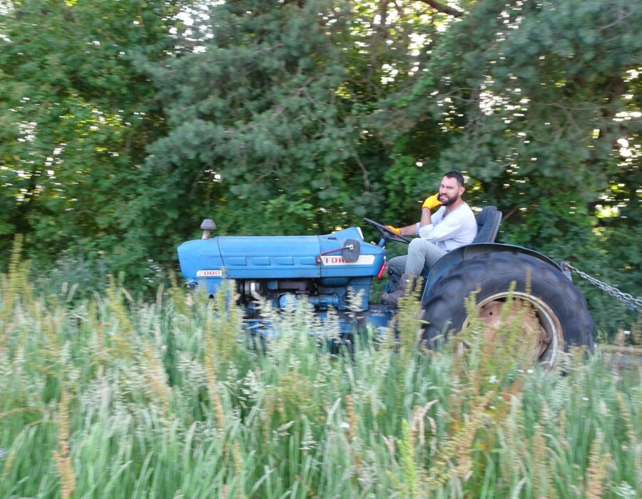 65661904_2473284982739163_3086085283809067008_n