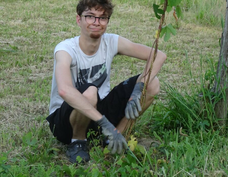 65677624_2473285839405744_8085723955643547648_n