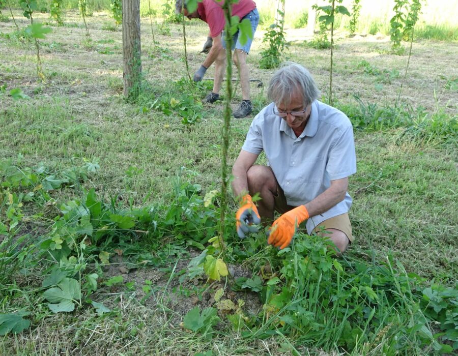 65698072_2473286129405715_4080457581057802240_n