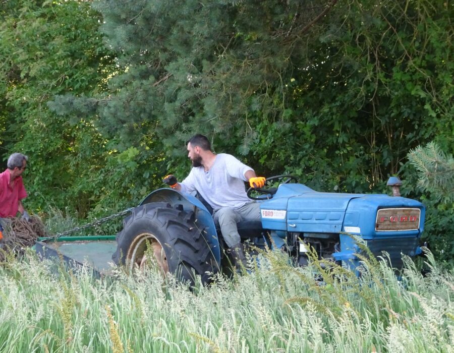 65996723_2473286732738988_555811399947780096_n