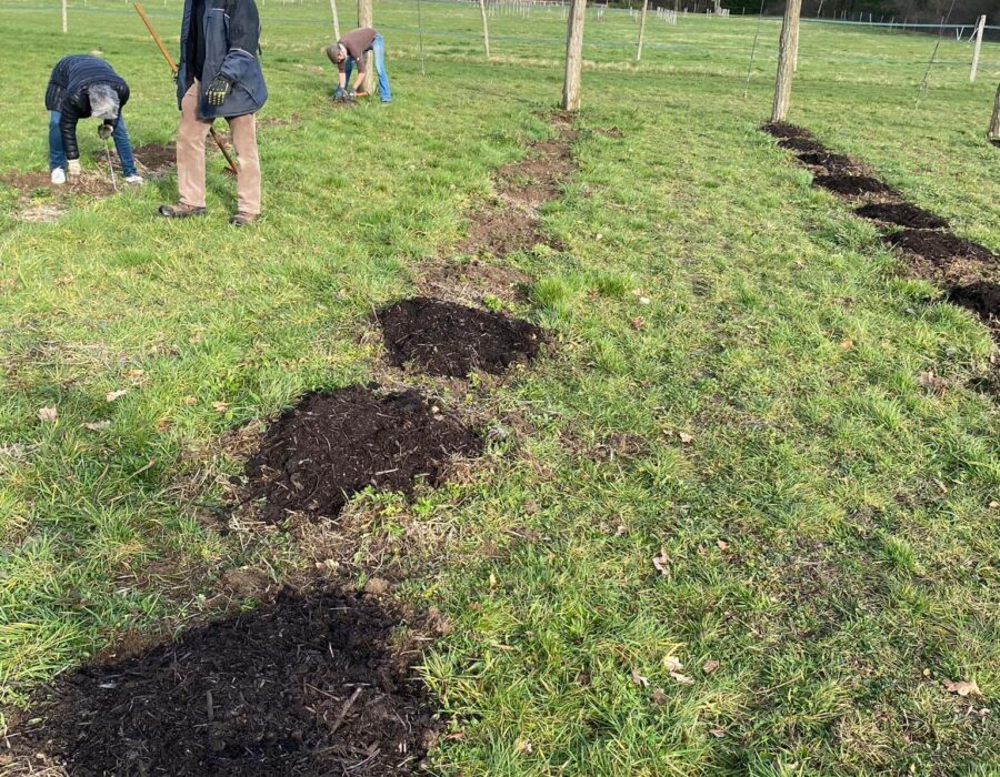 84849587_2961288687272121_4203783576937824256_n