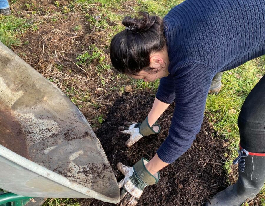 86375054_2961284897272500_2023111041604386816_n