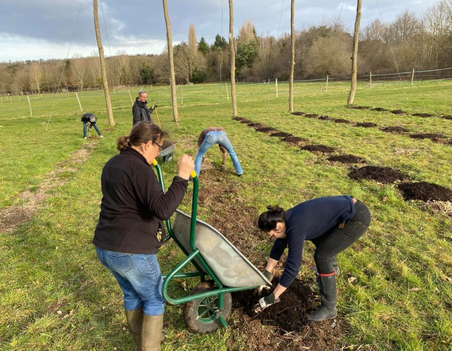 86728821_2963123027088687_6408156617983918080_n